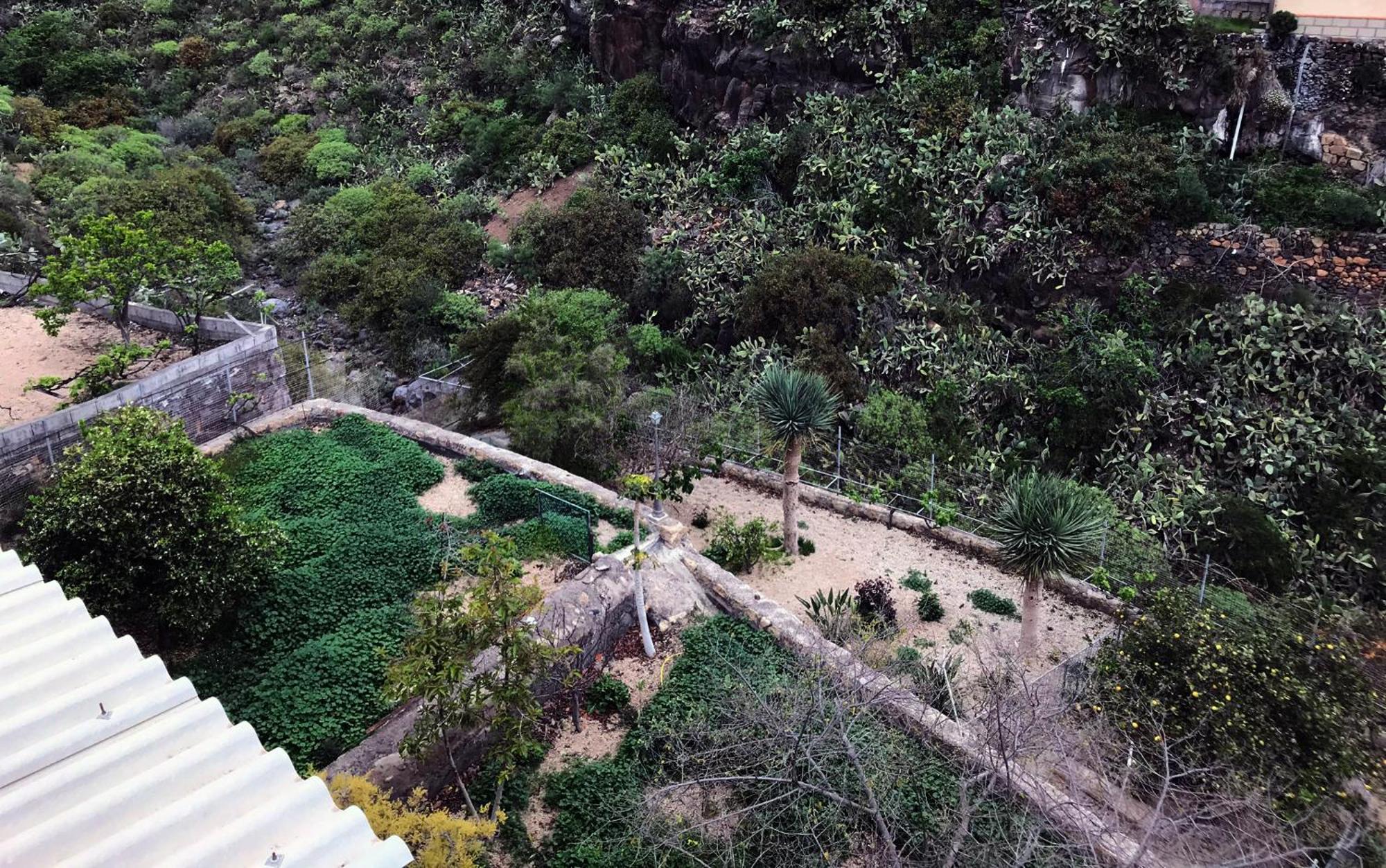 Acogedor Apartamento En San Miguel De Abona Luaran gambar